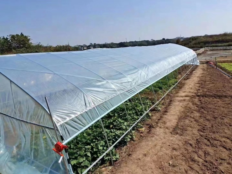 大棚骨架蔬菜大棚养殖大棚大棚陪件厂家直发