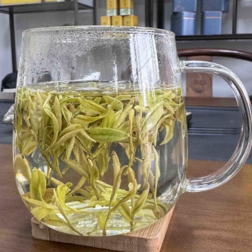 安吉白茶，黄茶，奶白茶