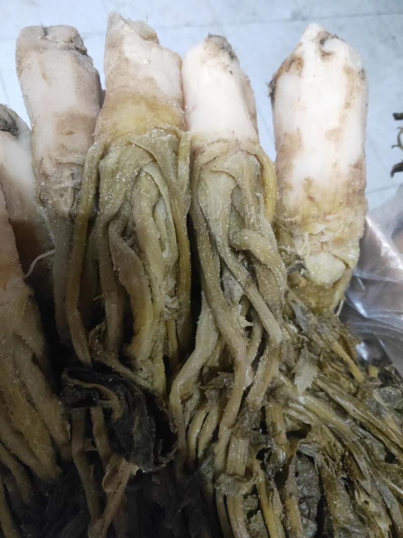 【泡菜】广东英德正宗头菜，打汤焖内即可，货源充足