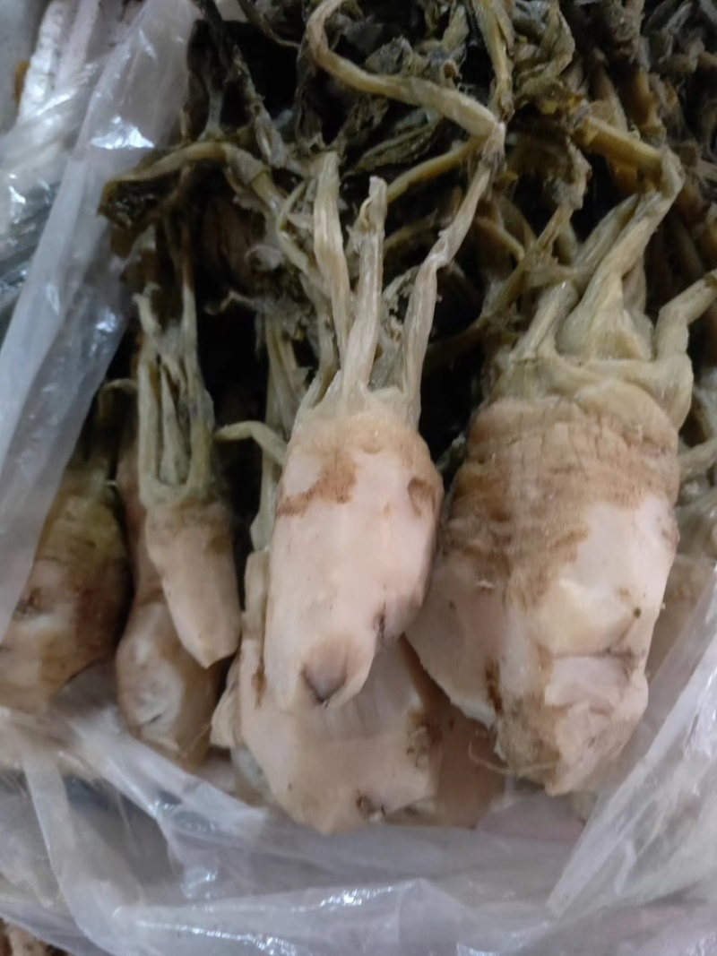 【泡菜】广东英德正宗头菜，打汤焖内即可，货源充足