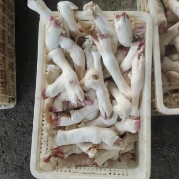 羊蹄
