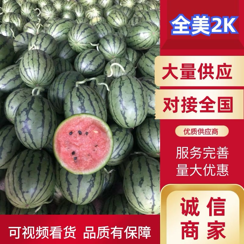 2k小糖丸西瓜产地供应货源充足量大价优可视频看货