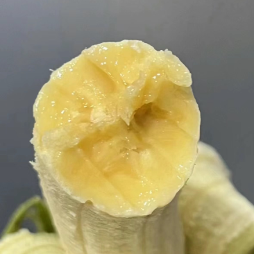 精品二级蕉，口感，品相，质量相当哇塞