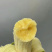 精品二级蕉，口感，品相，质量相当哇塞