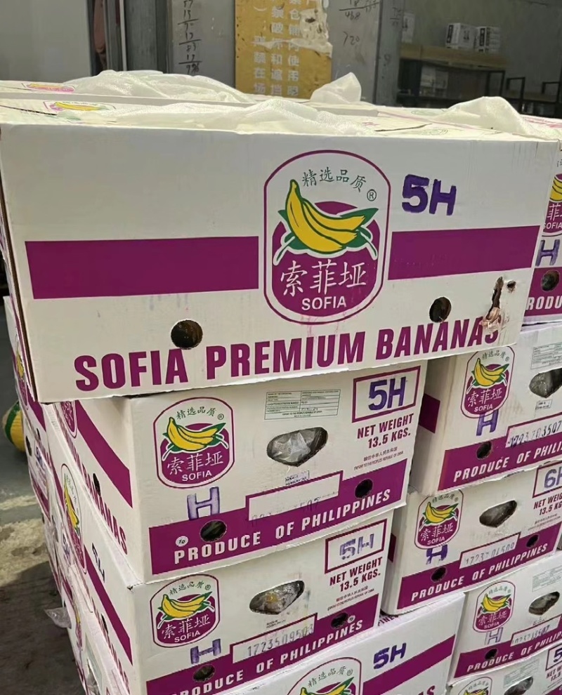 精品二级蕉，口感，品相，质量相当哇塞