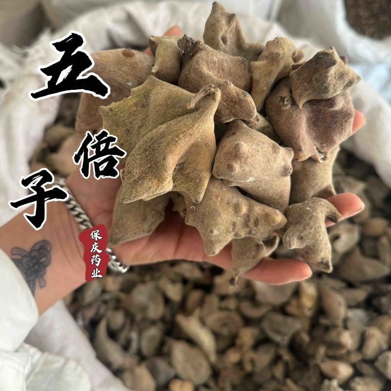 五倍子角倍百虫仓肚倍实拍发货如图干净无杂质