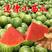 全美2K西瓜，小糖丸西瓜，电商，市场货，供应各大水果市场