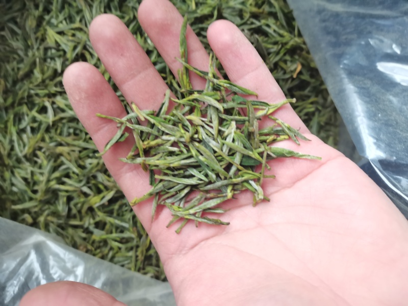 舒城小兰花茶叶