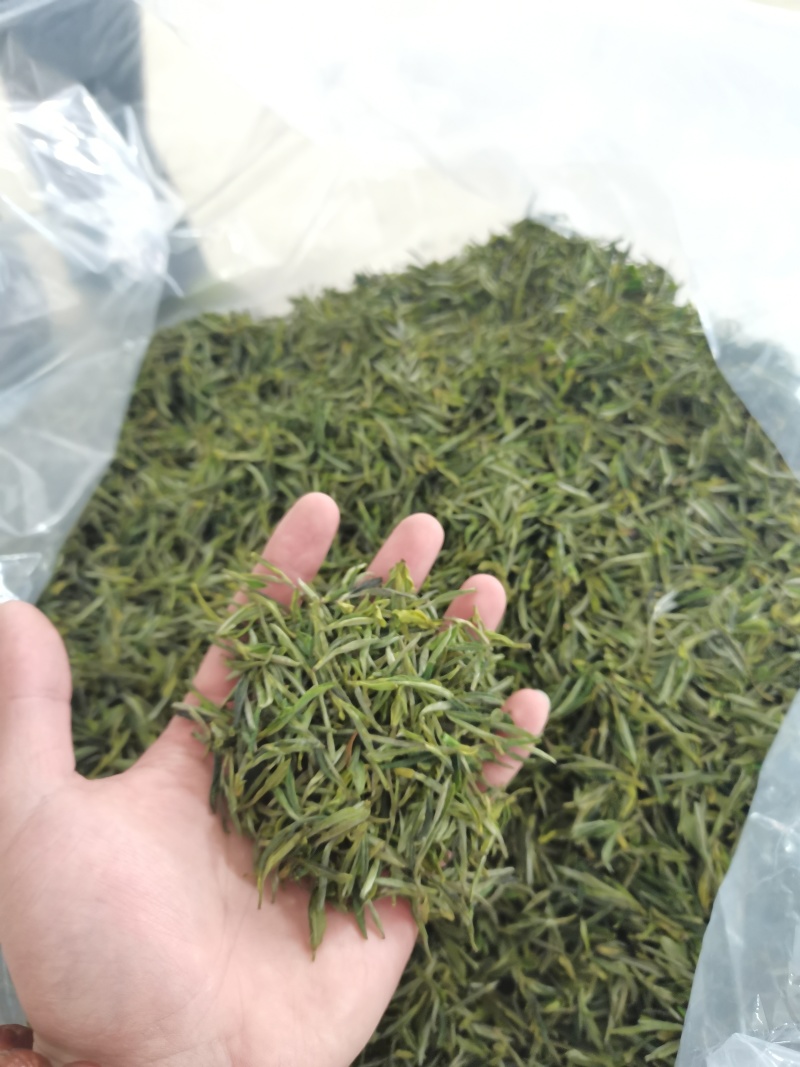 舒城小兰花茶叶