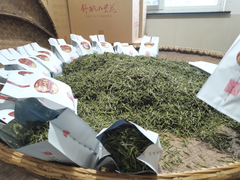 舒城小兰花茶叶