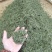 舒城小兰花茶叶