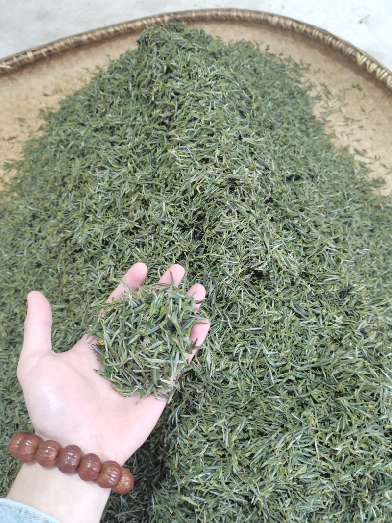 舒城小兰花茶叶