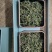 小炭烘茶-野生绿茶