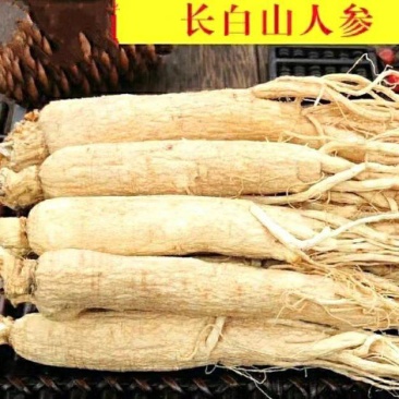 长白山野生人参，6年足龄长白山老参自然晒干泡酒煲汤