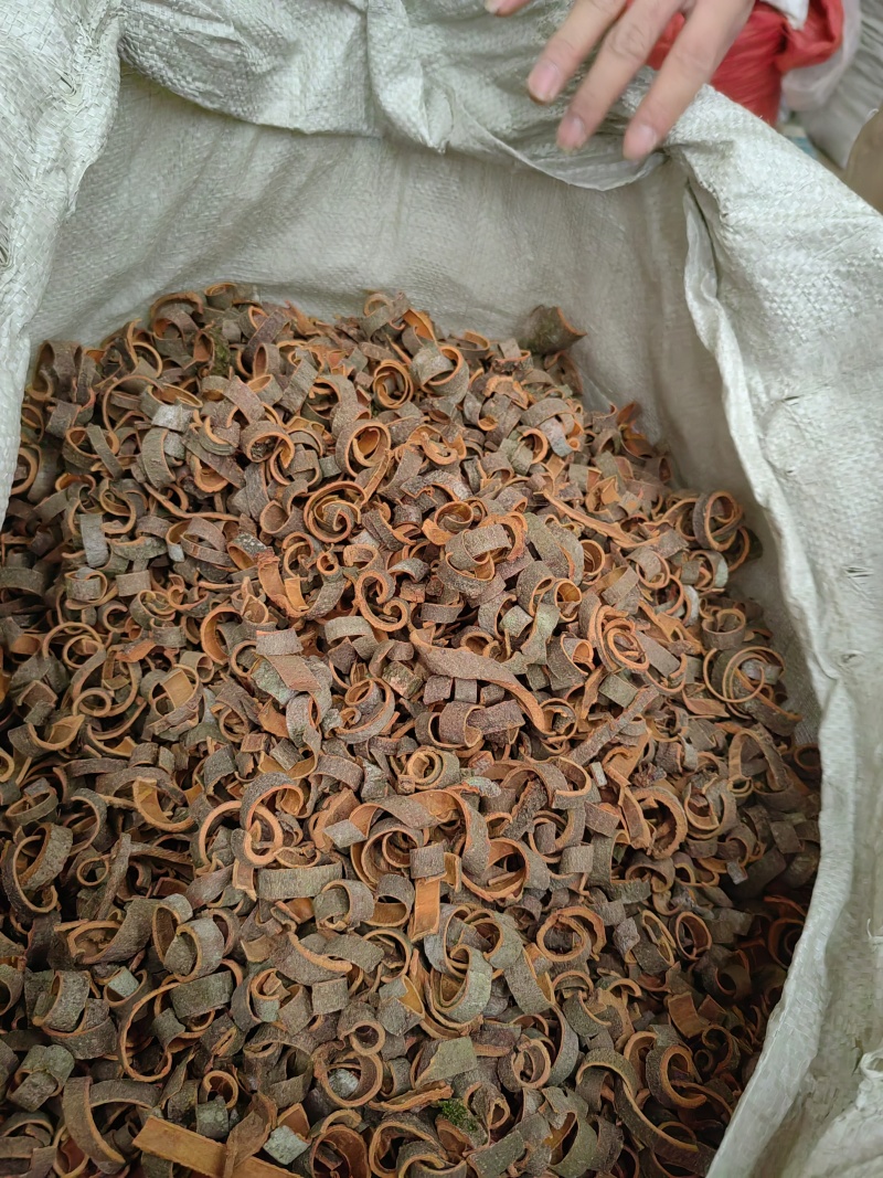 广西桶桂标准尺寸宽1厘米