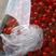 昌黎县圣女果小西红柿409大量上市，欢迎各地客商前来采购
