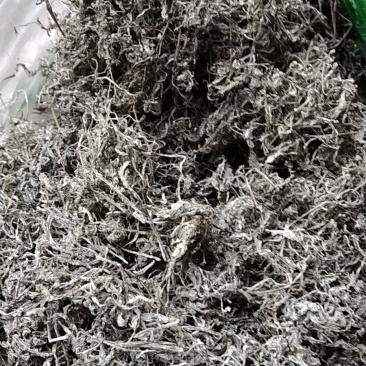 藤茶