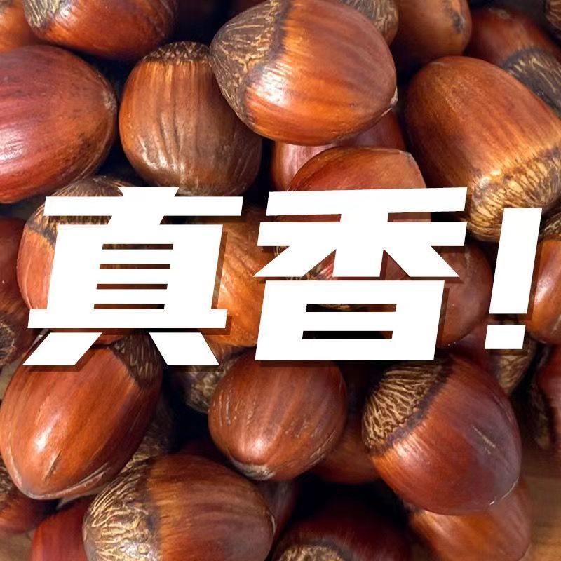 东北大榛子吉林特产原味炒熟榛子孕妇