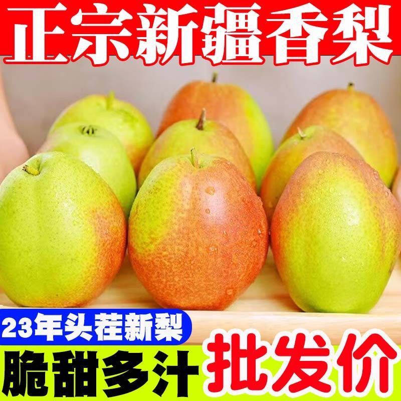 2024新果爆甜】正宗新疆库尔勒香梨新鲜水果酥梨红香酥梨