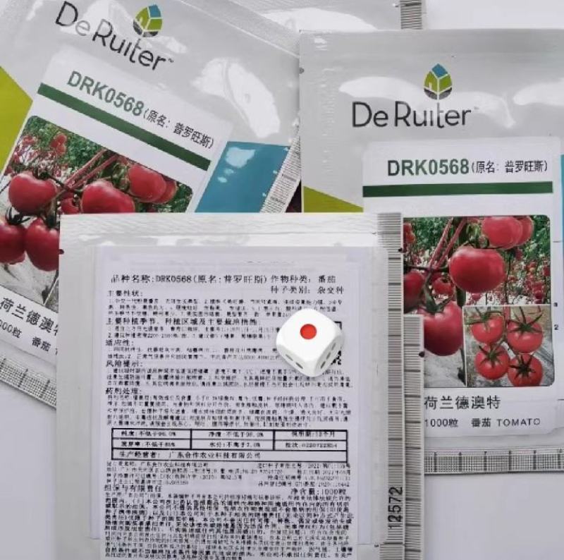 普罗旺斯原装荷兰进口口感番茄种子沙瓤水果番茄山东潍坊寿光
