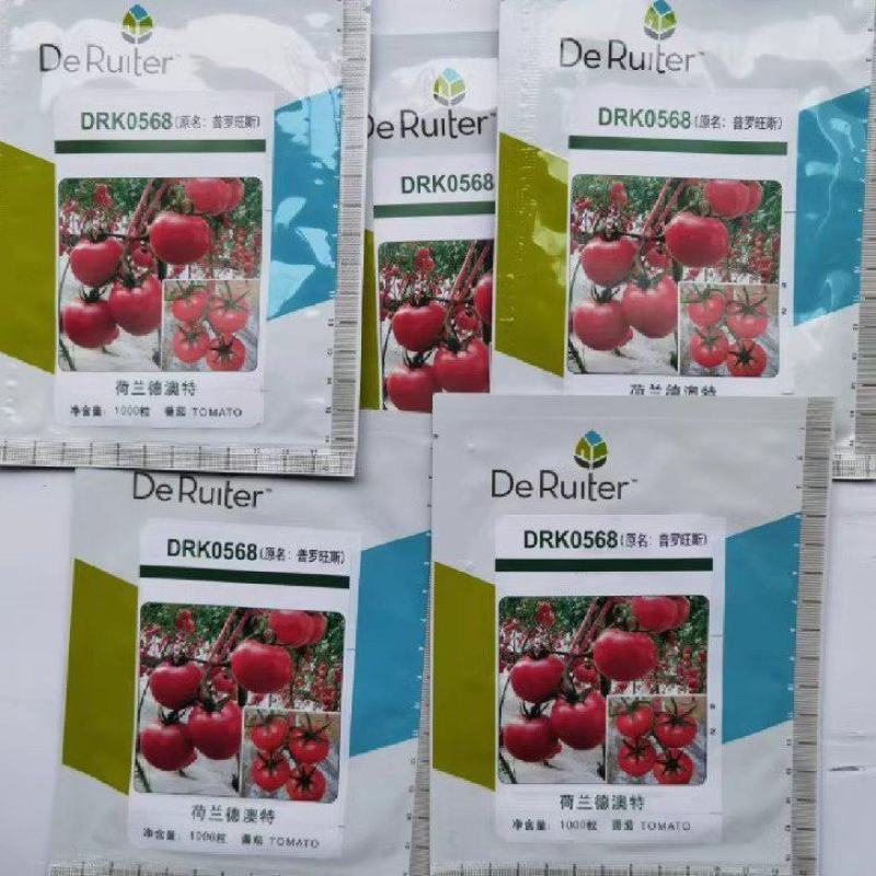 普罗旺斯原装荷兰进口口感番茄种子沙瓤水果番茄山东潍坊寿光