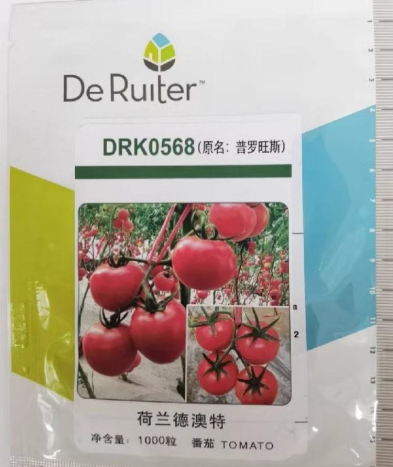 普罗旺斯原装荷兰进口口感番茄种子沙瓤水果番茄山东潍坊寿光