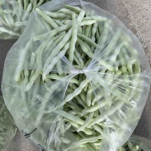 精品芸豆大量上市