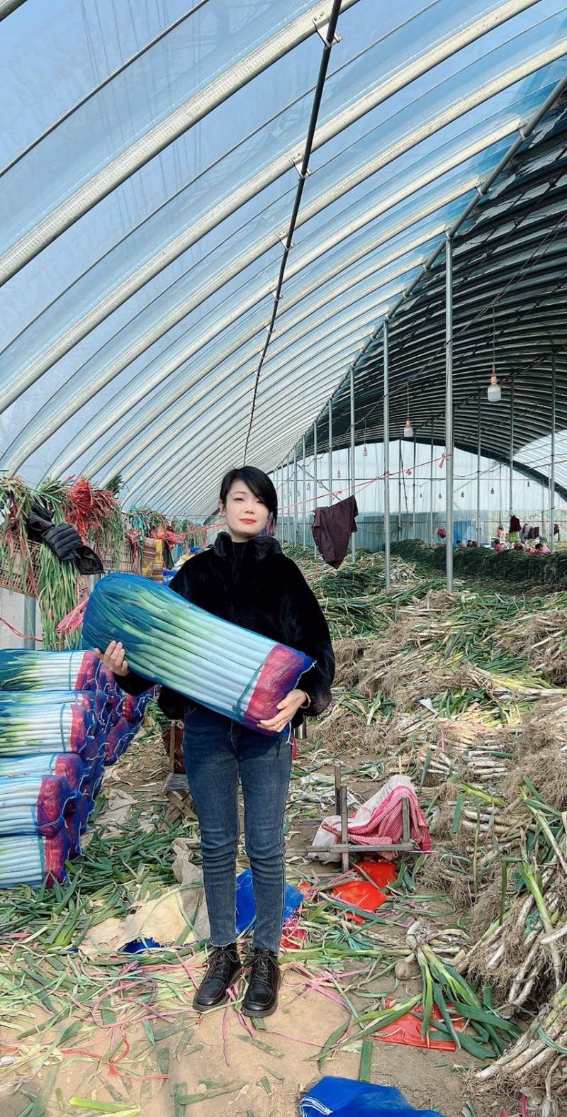 毛葱价格优惠上车铁杆大葱下单速发现货不用等全国发货