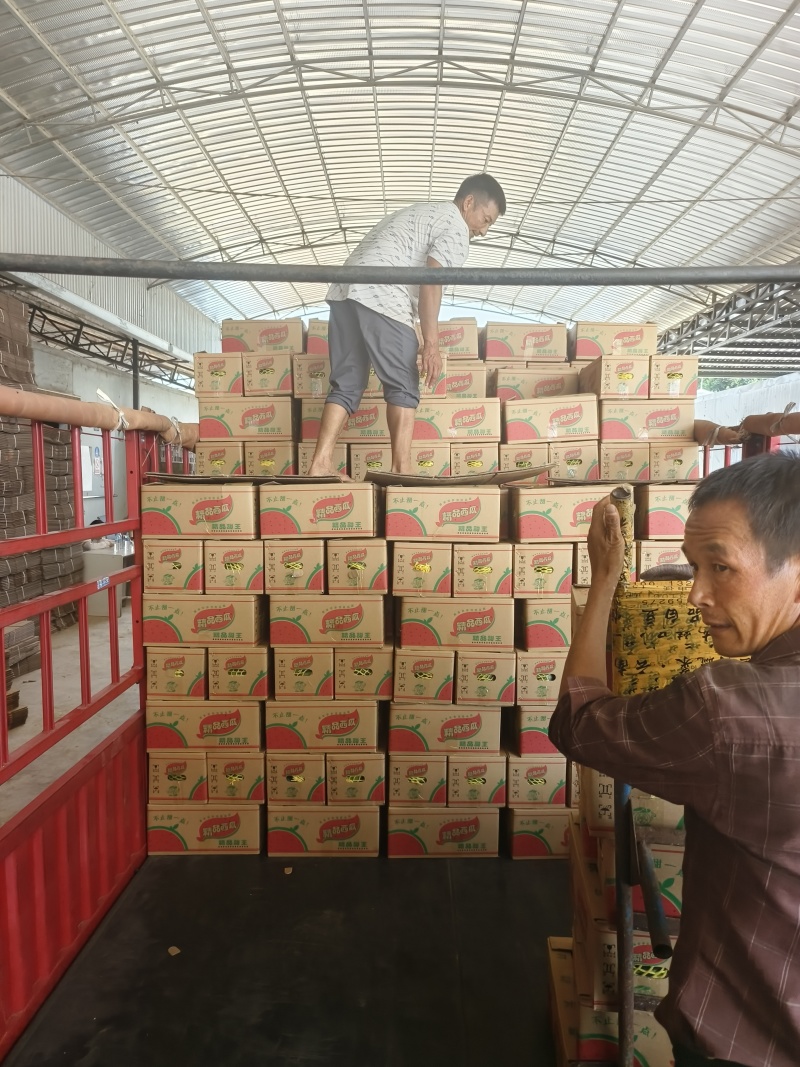 新疆甜王西瓜，产地直发。代发全国各地欢迎朋友来电咨询