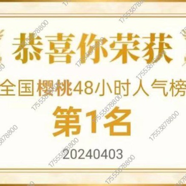 承接电商一件代发稳定供应按需发货长期合作【专业】