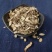 石菖蒲石菖蒲中药材石菖蒲菖蒲实物拍摄放心购买石菖蒲