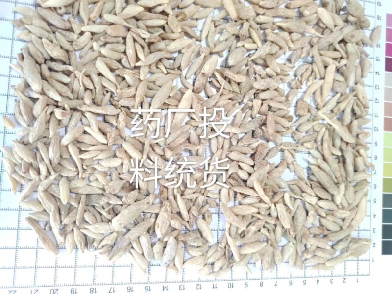 川麦冬，地道中药，产地热销，一手货源，需要的朋友可以联系