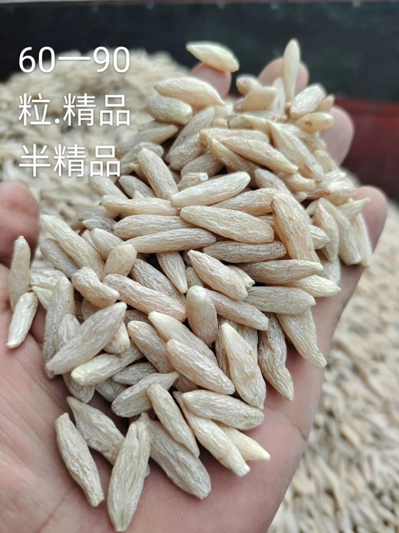 川麦冬，地道中药，产地热销，一手货源，需要的朋友可以联系