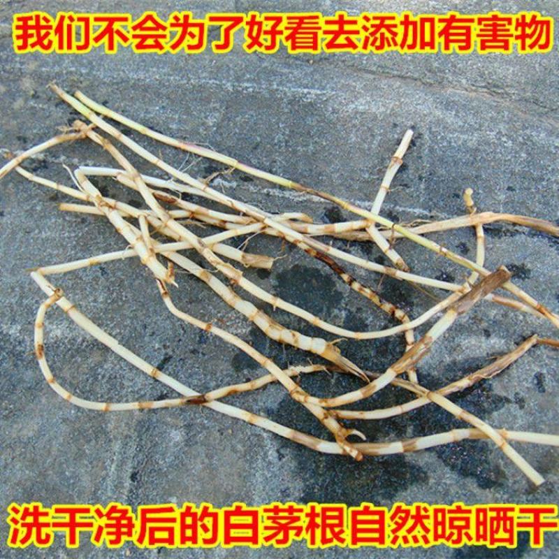 【野生白茅根】无硫白茅根500克装当季新货多规格可选包邮