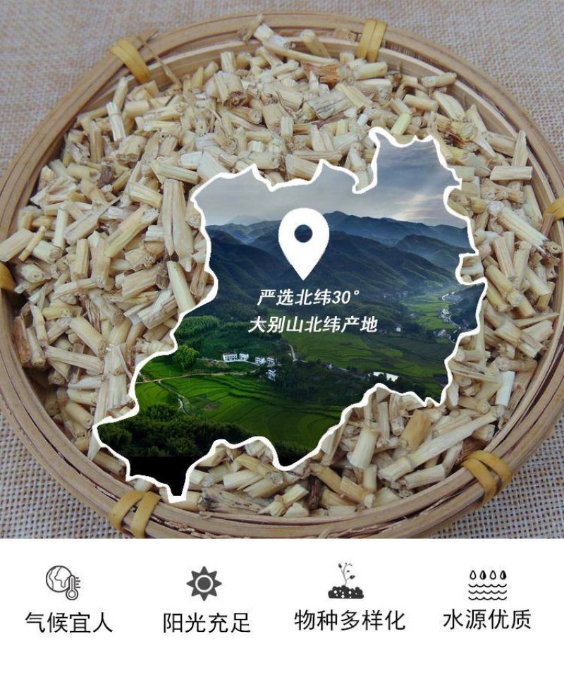 【野生白茅根】无硫白茅根500克装当季新货多规格可选包邮