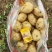 新鲜土豆，田园好味，直供农场，品质保证