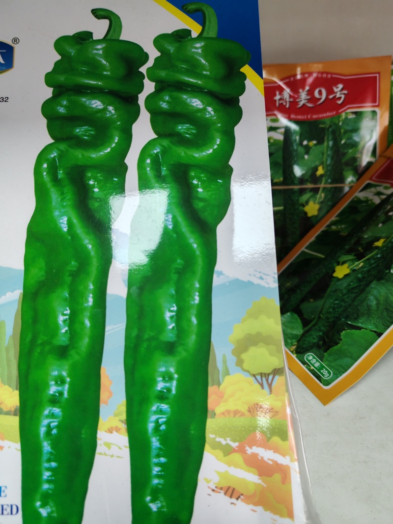 薄皮椒苗，螺丝椒苗，线椒苗，朝天椒苗，