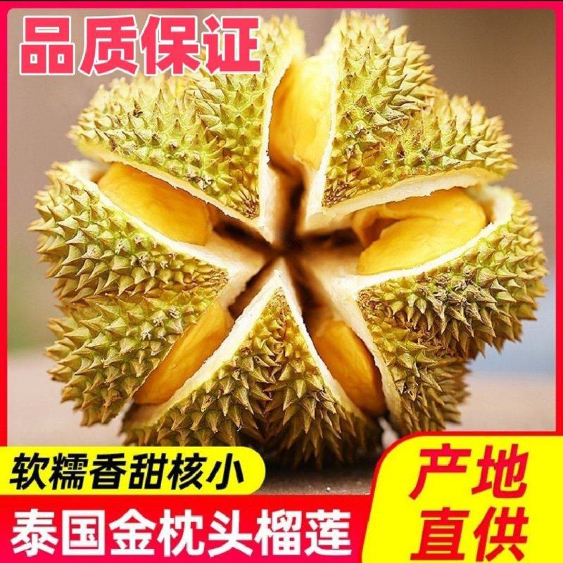 泰国金枕榴莲，