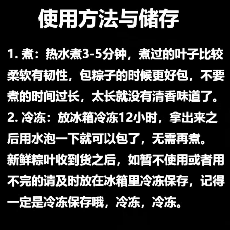 「牛商推荐」新鲜芦苇叶粽子叶批发零售「支持电商一件代发」