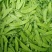 【实力推荐】云南新鲜荷兰豆荚豌豆产地直供保质保量