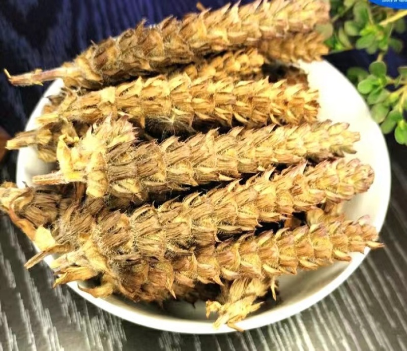夏枯草地道中药材夏枯球自然晒干干净无杂包邮