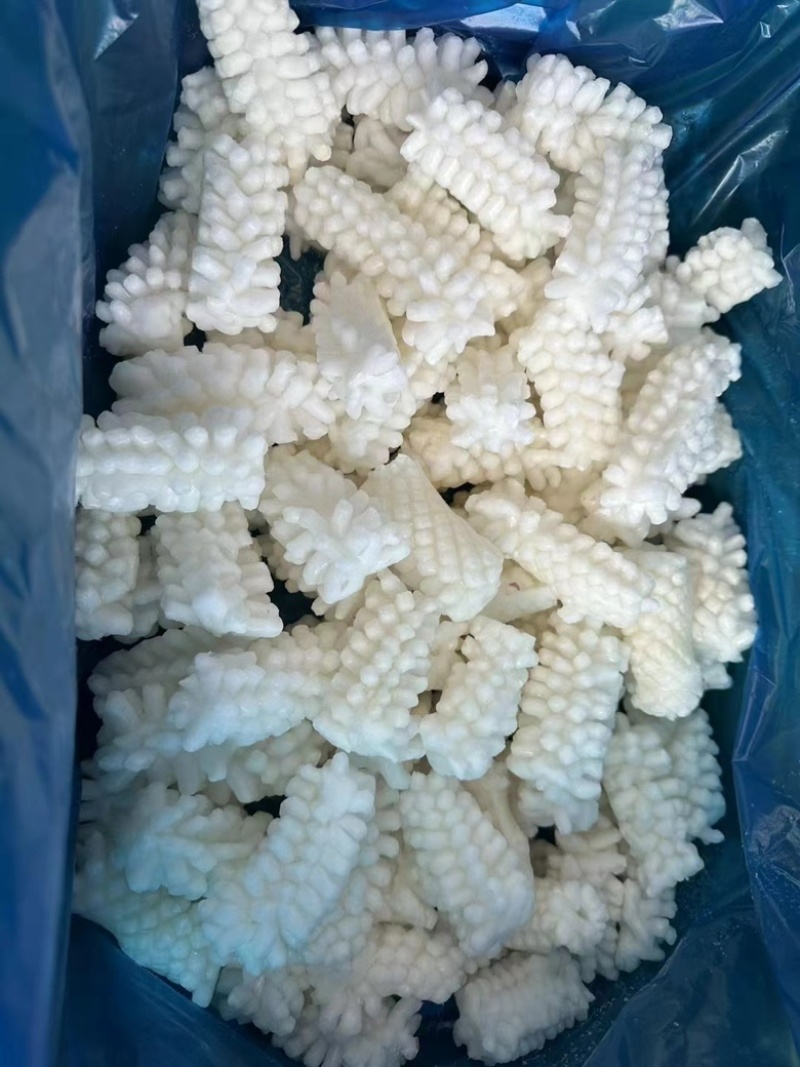 鱿鱼
