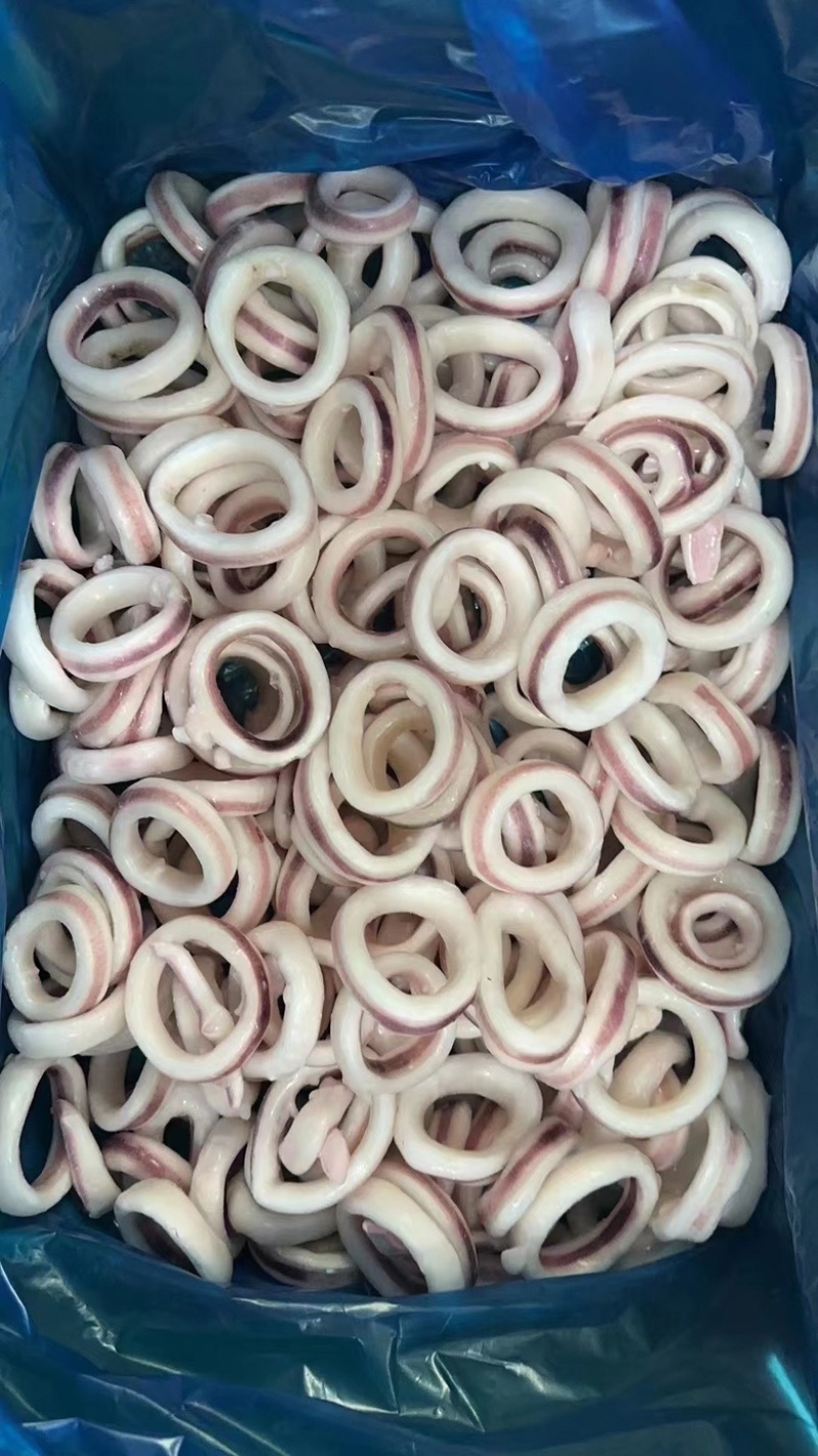 鱿鱼