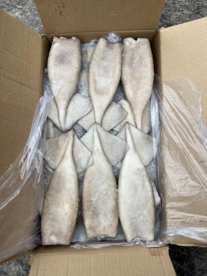 鱿鱼