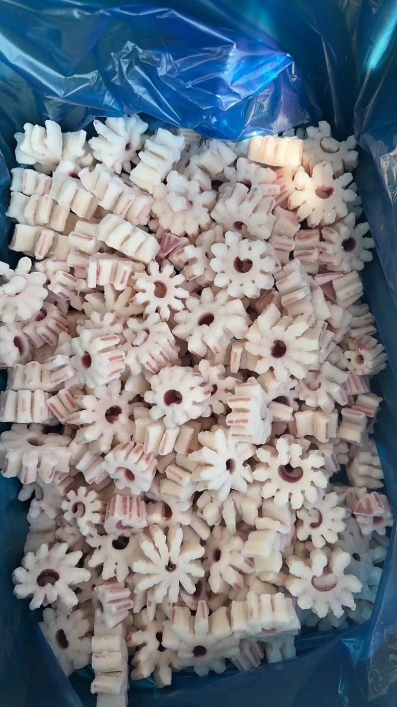 鱿鱼