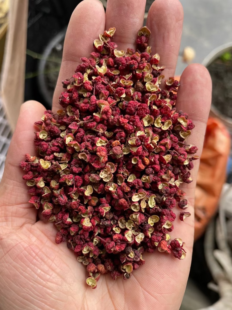 甘肃陇南大红袍花椒甘肃花椒