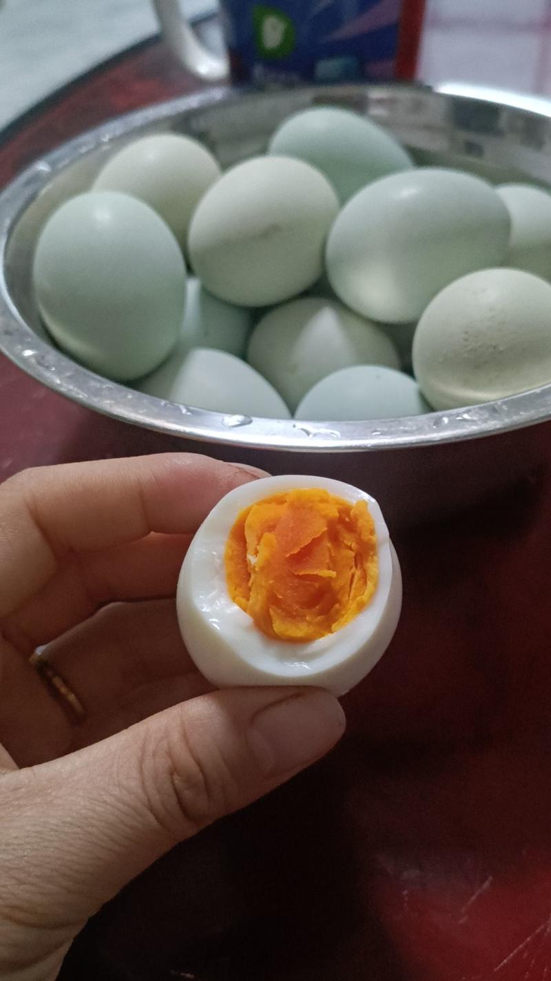 绿壳土鸡蛋