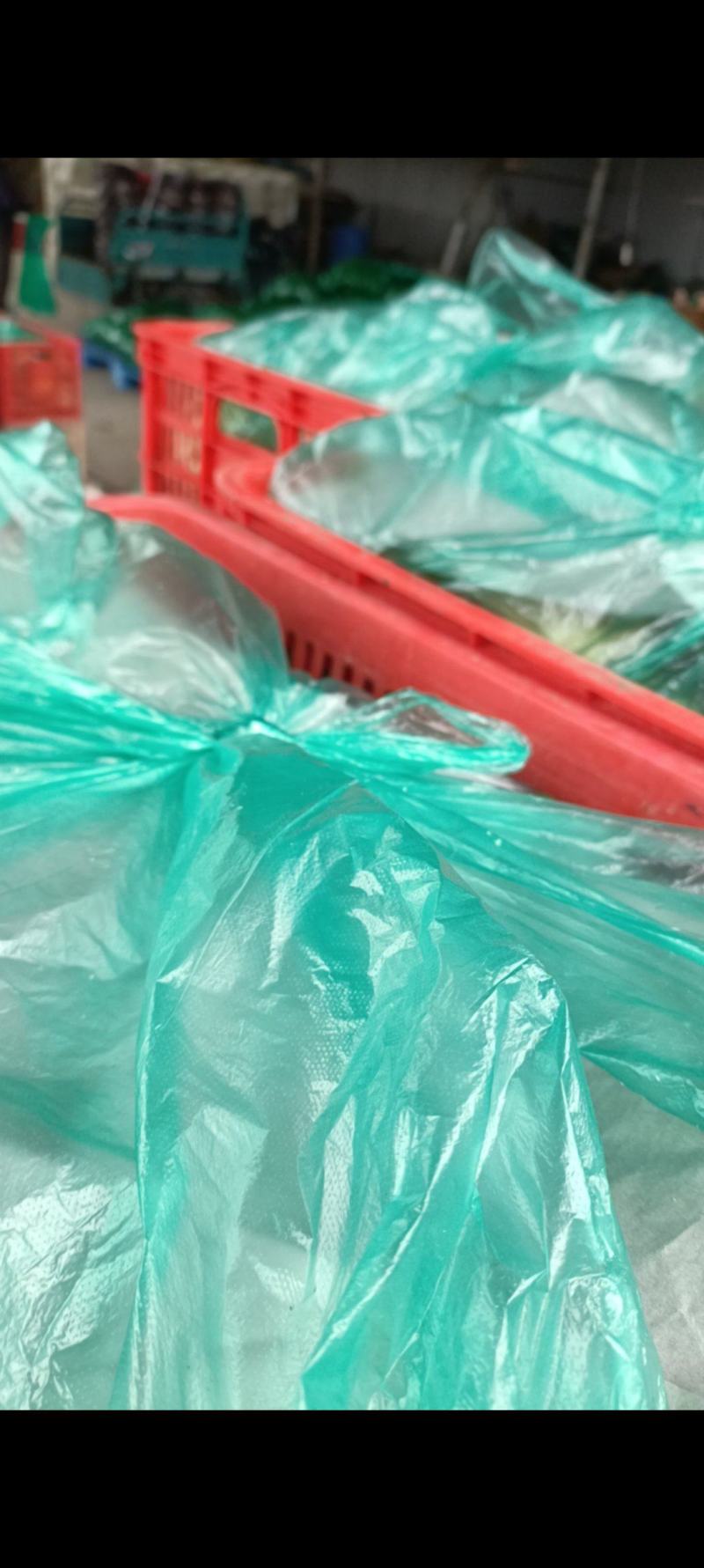 江苏东台有机花菜大量供应中！基地直供！质量保证！