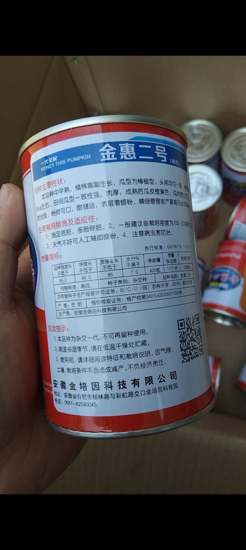 金惠二号密本南瓜种子大量供应，质量好价格低，专业二十年