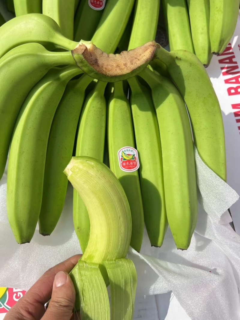 精品二级蕉一级焦，保质保量，全国可发，今日活动